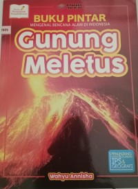 Image of Gunung Meletus