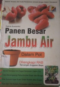 Image of Panen Besar Jambu Air Dalam Pot