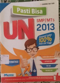 Image of UN SMP/MTS 2013